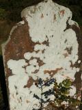 image of grave number 671949